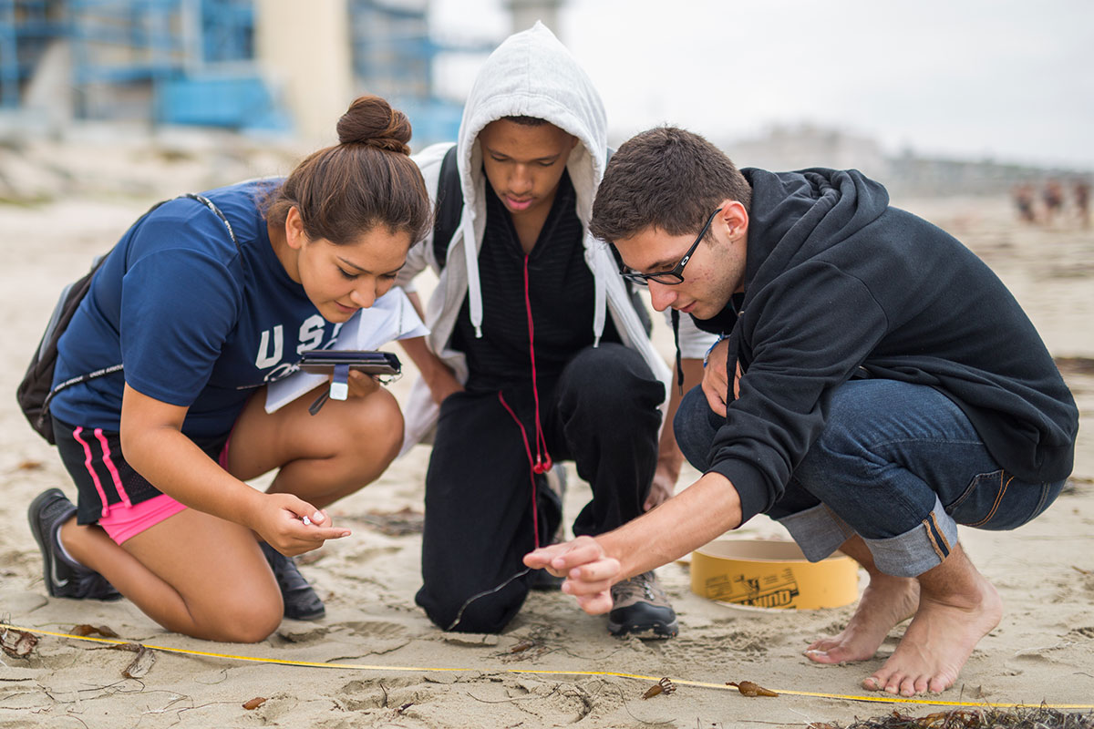 Students analyzing sand at the beach